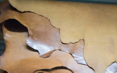 Nachhaltigkeit bei Leder